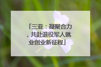 三亚：凝聚合力，共赴退役军人就业创业新征程