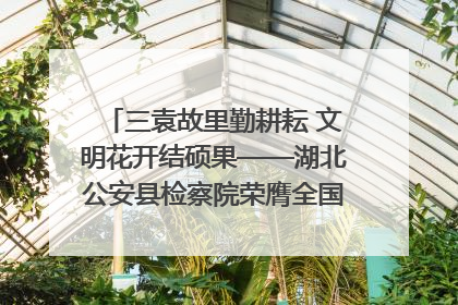 三袁故里勤耕耘 文明花开结硕果——湖北公安县检察院荣膺全国文明单位称号