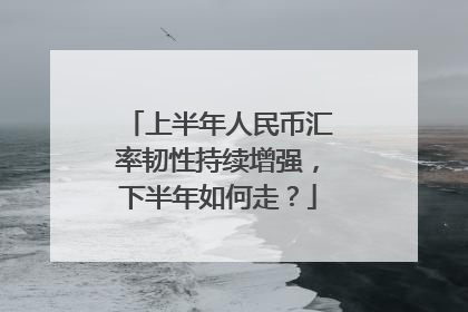 上半年人民币汇率韧性持续增强，下半年如何走？
