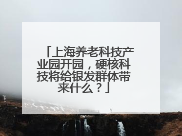 上海养老科技产业园开园，硬核科技将给银发群体带来什么？