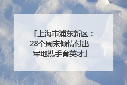 上海市浦东新区：28个周末倾情付出 军地携手育英才