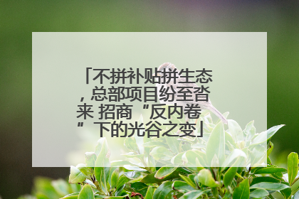 不拼补贴拼生态，总部项目纷至沓来 招商“反内卷”下的光谷之变
