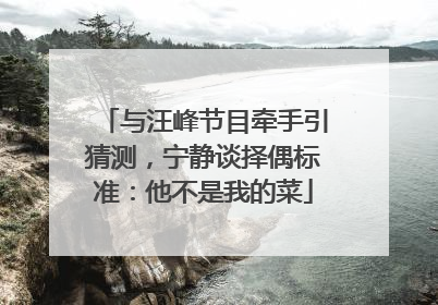 与汪峰节目牵手引猜测，宁静谈择偶标准：他不是我的菜
