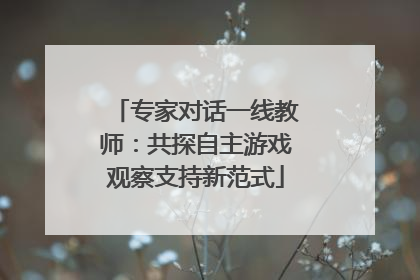 专家对话一线教师：共探自主游戏观察支持新范式