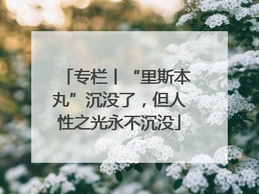 专栏丨“里斯本丸”沉没了，但人性之光永不沉没