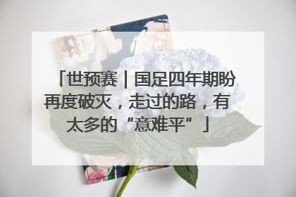 世预赛｜国足四年期盼再度破灭，走过的路，有太多的“意难平”