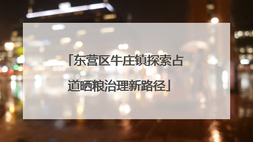 东营区牛庄镇探索占道晒粮治理新路径