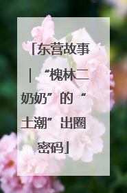 东营故事｜“槐林二奶奶”的“土潮”出圈密码