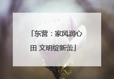 东营：家风润心田 文明绽新蕾