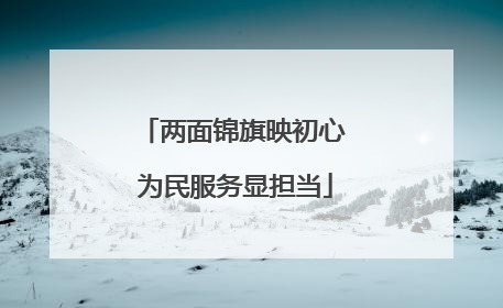 两面锦旗映初心 为民服务显担当