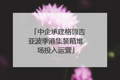 中企承建格鲁吉亚波季港集装箱堆场投入运营
