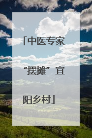 中医专家“摆摊”宜阳乡村