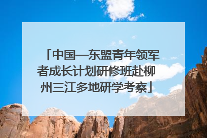 中国—东盟青年领军者成长计划研修班赴柳州三江多地研学考察