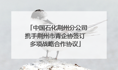 中国石化荆州分公司携手荆州市青企协签订多项战略合作协议