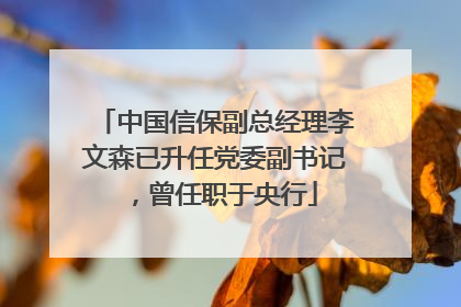 中国信保副总经理李文森已升任党委副书记，曾任职于央行