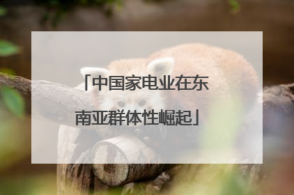 中国家电业在东南亚群体性崛起