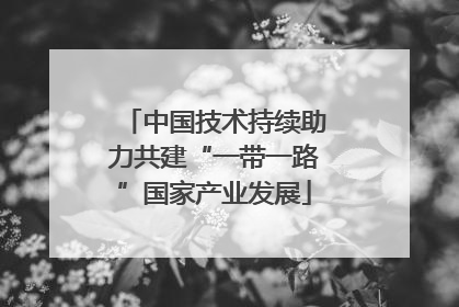 中国技术持续助力共建“一带一路”国家产业发展