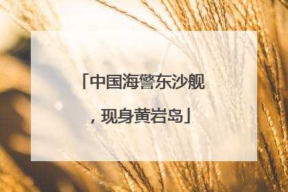 中国海警东沙舰，现身黄岩岛