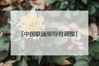 中国联通领导有调整