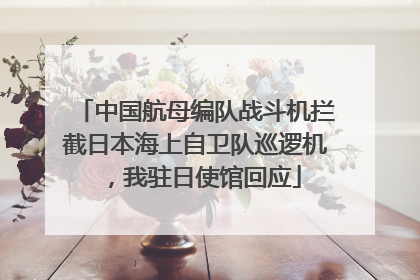 中国航母编队战斗机拦截日本海上自卫队巡逻机，我驻日使馆回应