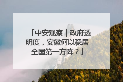 中安观察｜政府透明度，安徽何以稳居全国第一方阵？