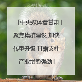 中央媒体看甘肃丨聚焦集群建设 加快转型升级 甘肃支柱产业增势强劲