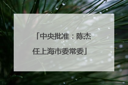 中央批准：陈杰任上海市委常委