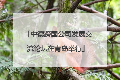 中德跨国公司发展交流论坛在青岛举行