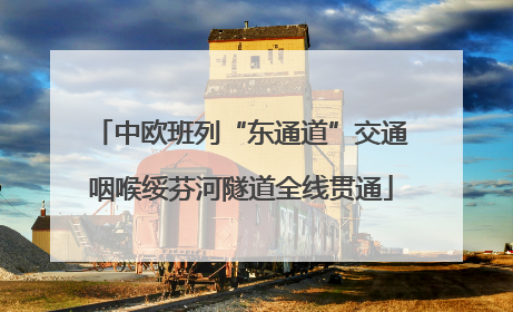 中欧班列“东通道”交通咽喉绥芬河隧道全线贯通