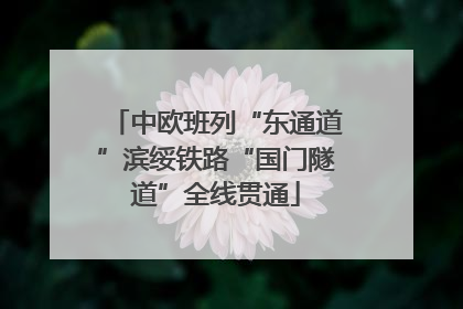 中欧班列“东通道”滨绥铁路“国门隧道”全线贯通