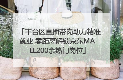 丰台区直播带岗助力精准就业 零距离解锁京东MALL200余热门岗位