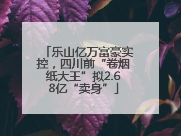乐山亿万富豪实控，四川前“卷烟纸大王”拟2.68亿“卖身”