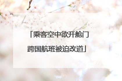 乘客空中欲开舱门 跨国航班被迫改道