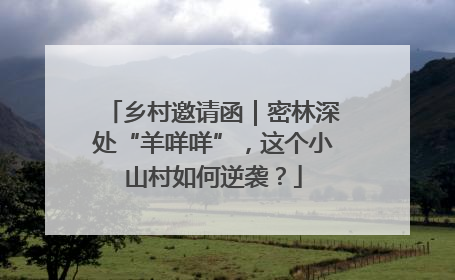 乡村邀请函｜密林深处“羊咩咩”，这个小山村如何逆袭？