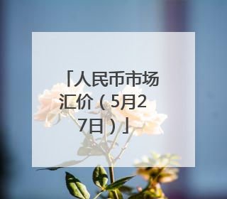 人民币市场汇价（5月27日）