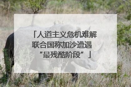 人道主义危机难解 联合国称加沙遭遇“最残酷阶段”