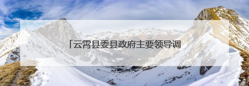 云霄县委县政府主要领导调研党建引领国企改革工作