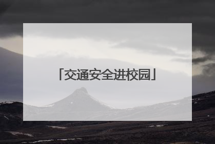 交通安全进校园