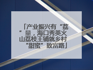 产业振兴有“荔”量，海口秀英火山荔枝王铺就乡村“甜蜜”致富路