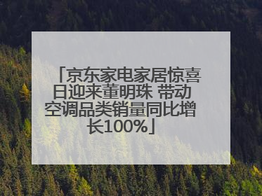 京东家电家居惊喜日迎来董明珠 带动空调品类销量同比增长100%