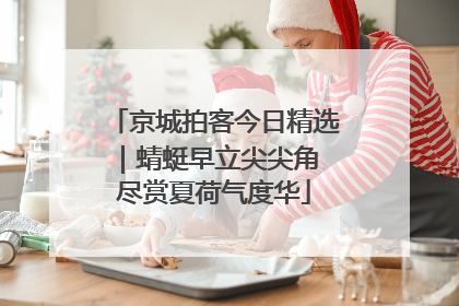 京城拍客今日精选｜蜻蜓早立尖尖角 尽赏夏荷气度华