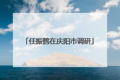 任振鹤在庆阳市调研