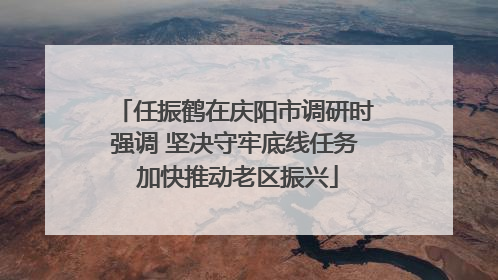 任振鹤在庆阳市调研时强调 坚决守牢底线任务 加快推动老区振兴