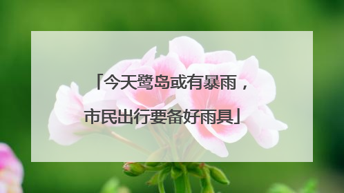 今天鹭岛或有暴雨，市民出行要备好雨具