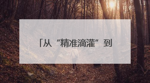 从“精准滴灌”到“全链护航” 四川朝天擦亮营商环境“金字招牌”