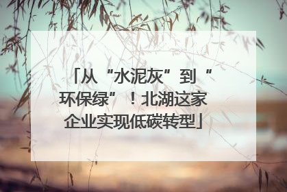 从“水泥灰”到“环保绿”！北湖这家企业实现低碳转型