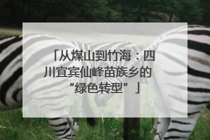 从煤山到竹海：四川宜宾仙峰苗族乡的“绿色转型”