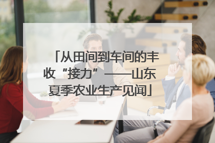 从田间到车间的丰收“接力”——山东夏季农业生产见闻