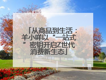 从商品到生活：羊小咩以“一站式”密钥开启Z世代消费新生态
