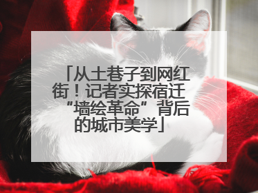 从土巷子到网红街！记者实探宿迁“墙绘革命”背后的城市美学